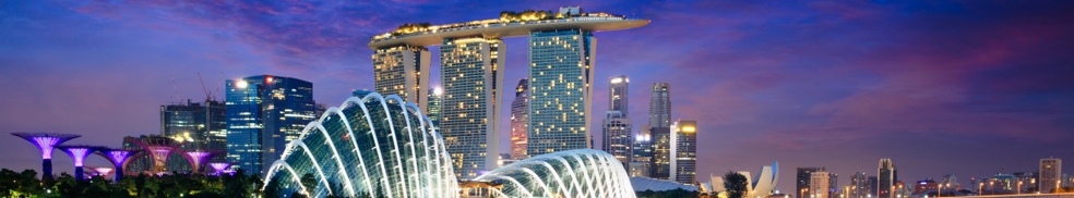 Ondernemen met singapore