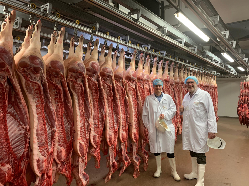 Zomerstage Abbatoir Foodmet Cultureghem
