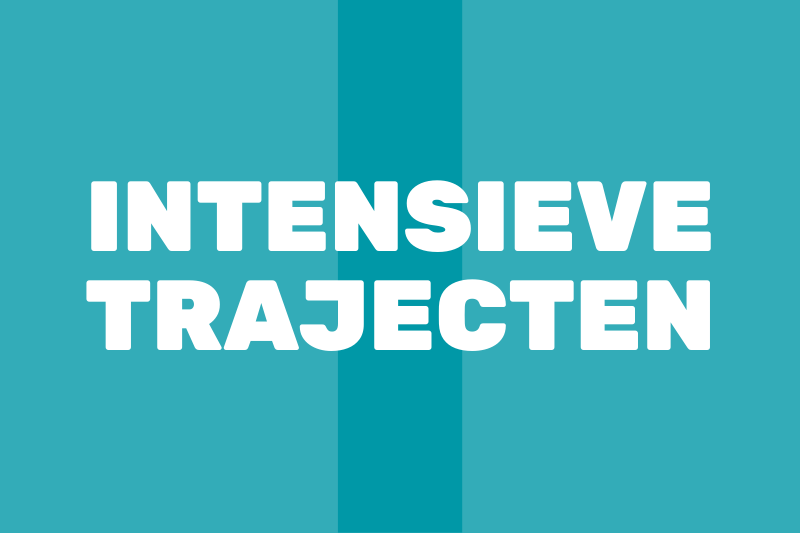 Intensieve trajecten Voka
