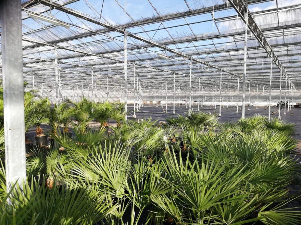 planten