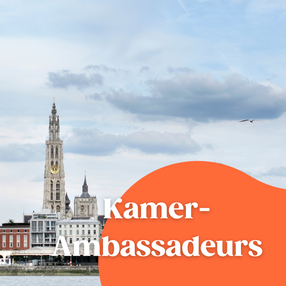 Kamerambassadeurs