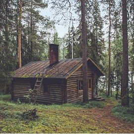boomhut retreated