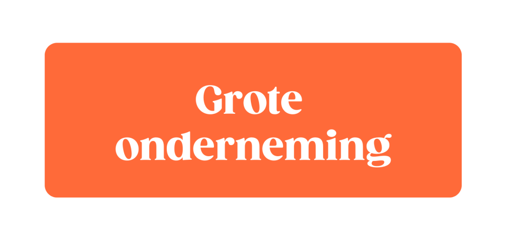 Netwerk Grote ondernemingen