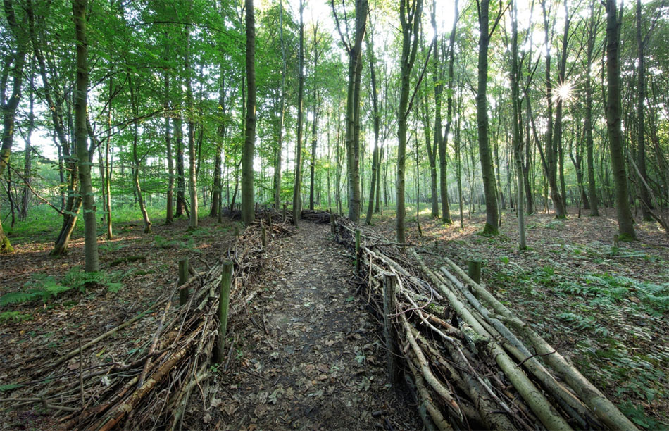 Kluizenbos