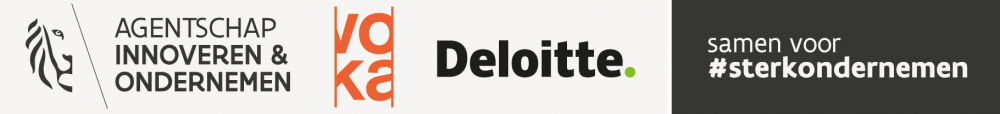 Vlaio logo deloitte nieuw