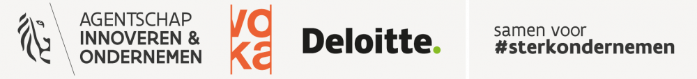 Deloitte vlaio