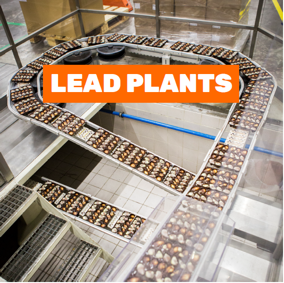 lead plants