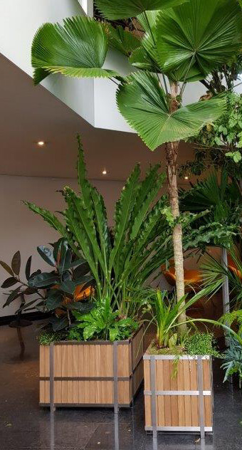 plantentuin pietercil