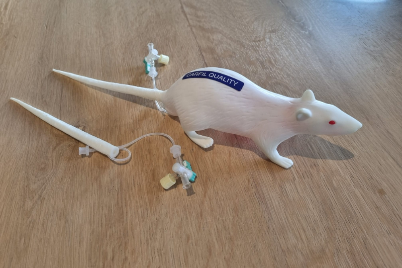 Artificiële rat voor diervriendelijke labotraining