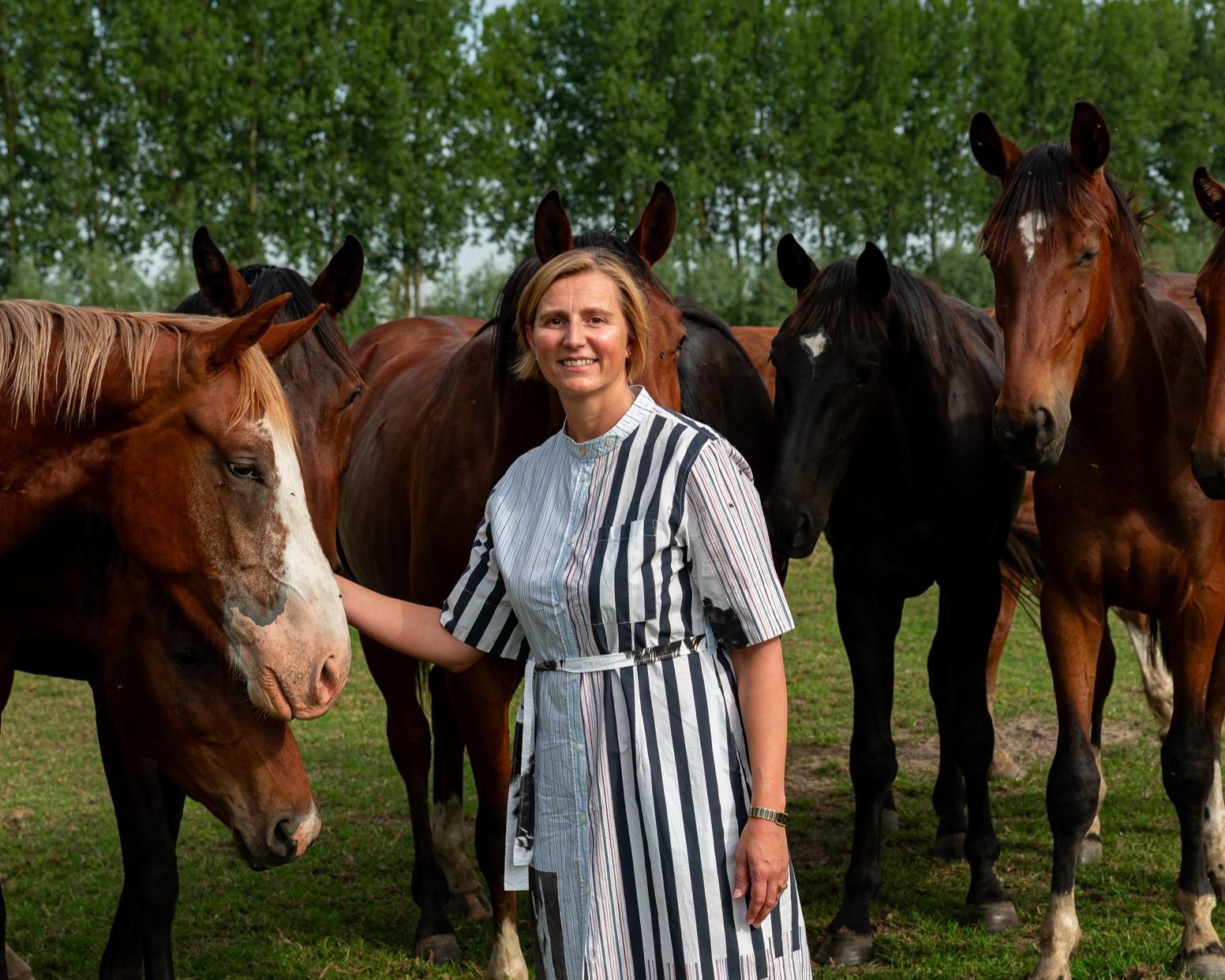 European Horse Services