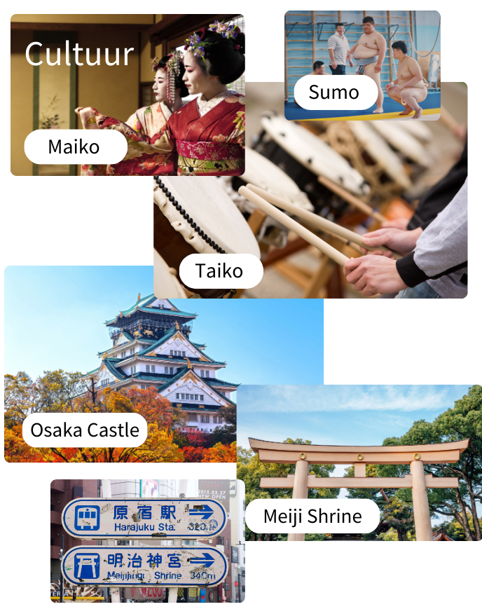 Voka Missie Expo Japan 2025 - Dompel jezelf onder in de Japanse cultuur