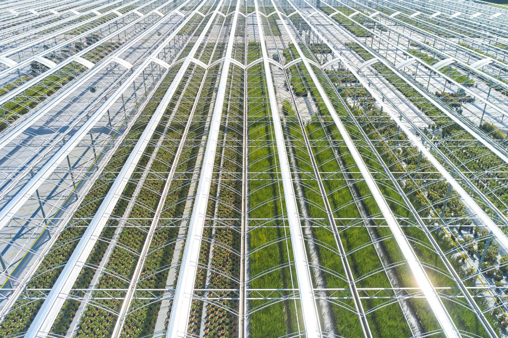 Plant Select creëert toekomstige planten