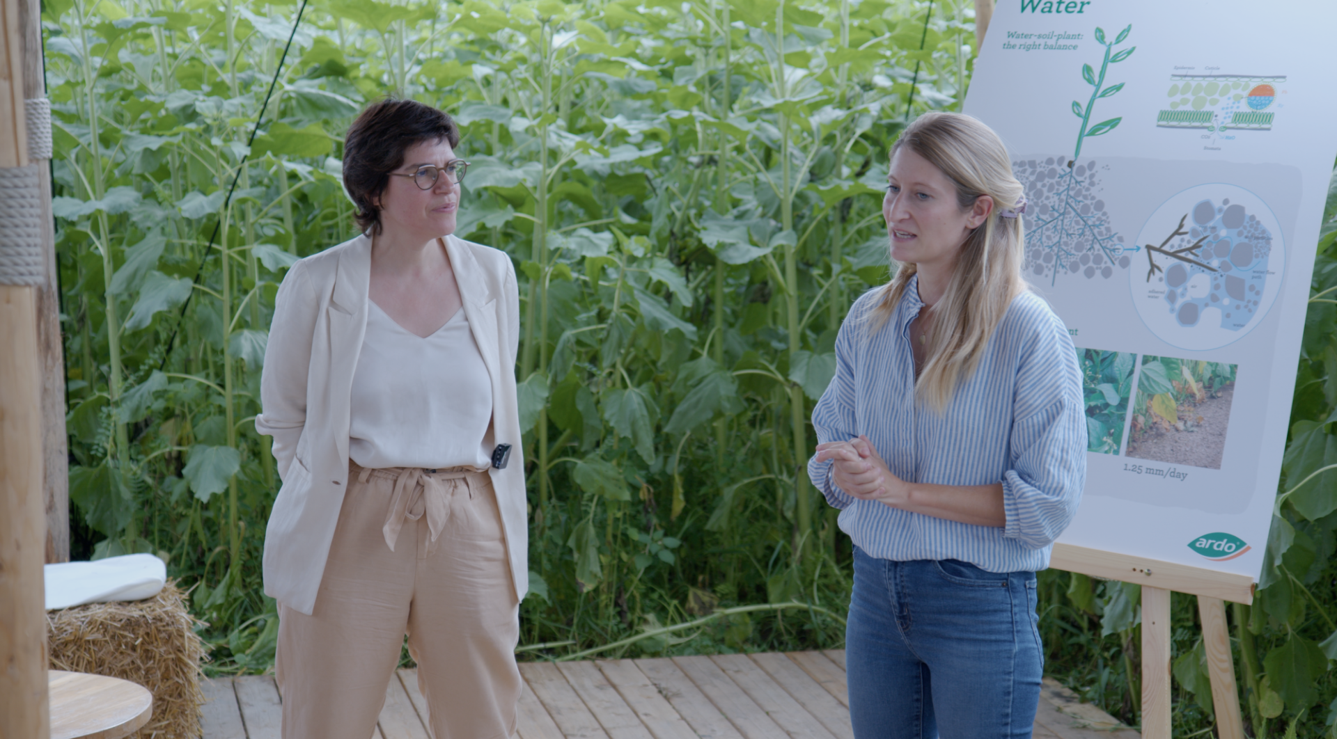 Tinne Van der Straeten op Voka Zomerstage bij Ardo