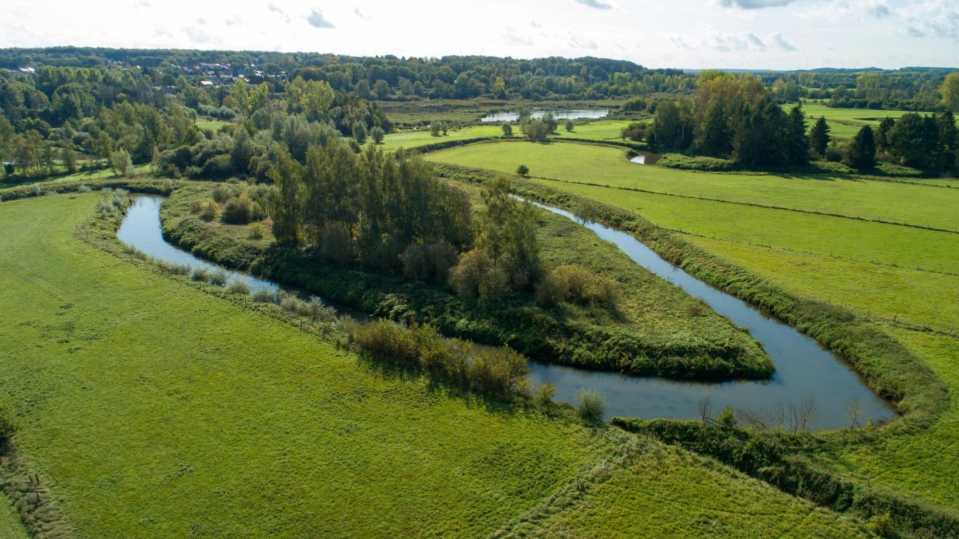 Bezorgheden over parkendecreet