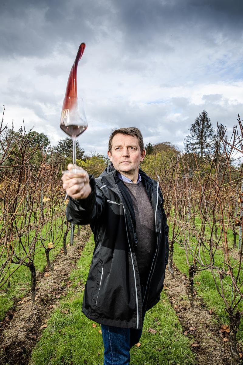 Wijndomein Oud Conynsbergh bewijst vandaag dat het wel degelijk mogelijk is om in de provincie Antwerpen met een hele variëteit aan wijnen van eigen bodem te kunnen komen.