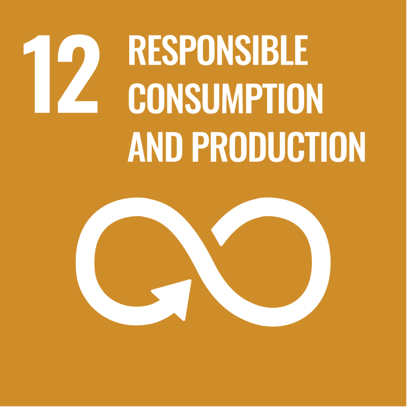 sdg 12