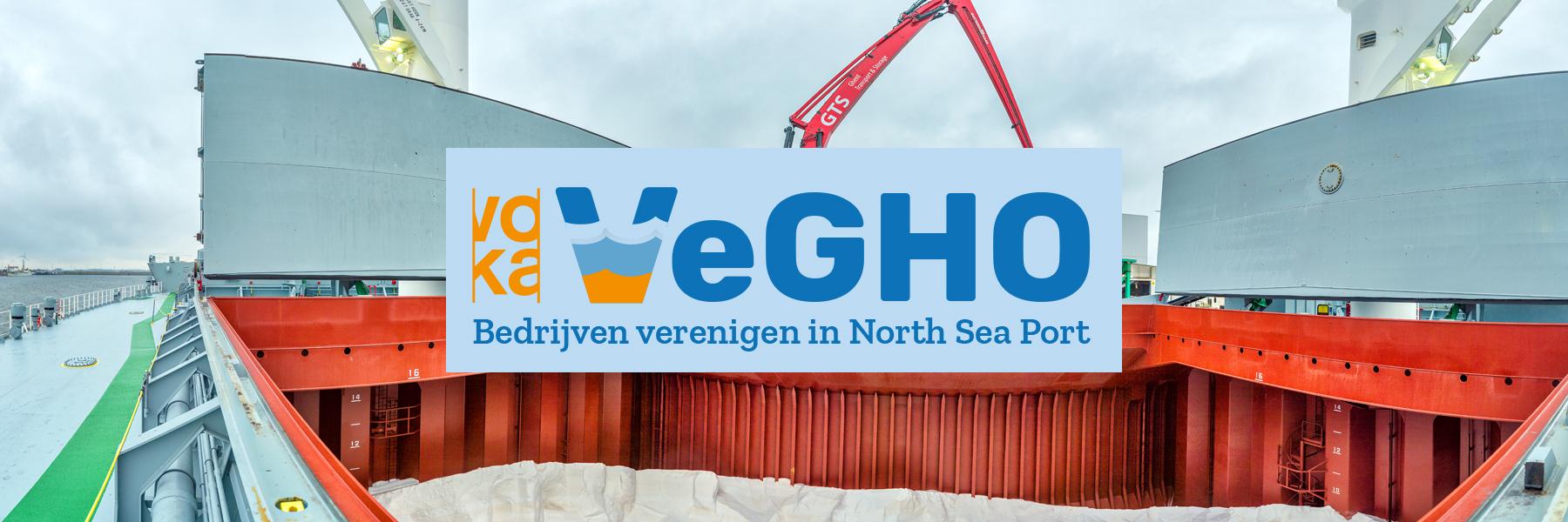 vegho afbeelding