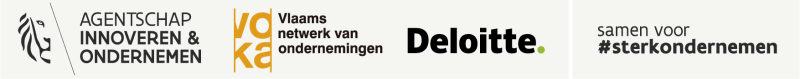 Vlaio Deloitte 2020-2024