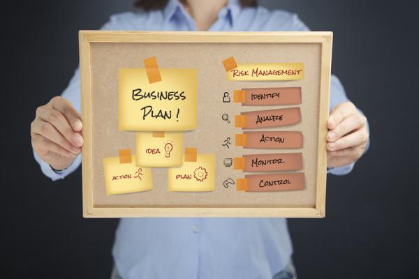 teaser businessplan