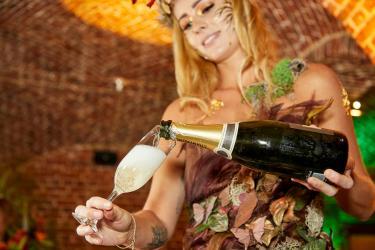 header champagne party fotoalbum