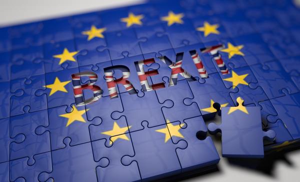 Brexit hotline