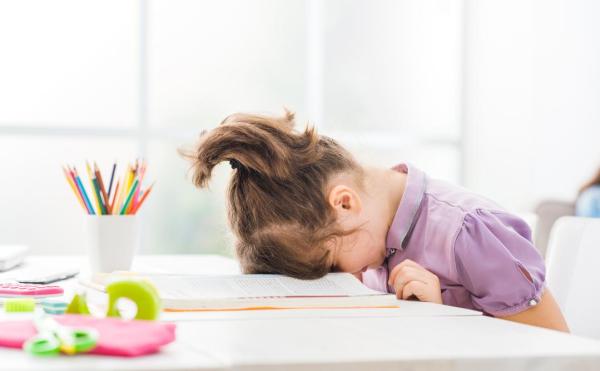 Limburgse bedrijven verontrust over PISA-cijfers