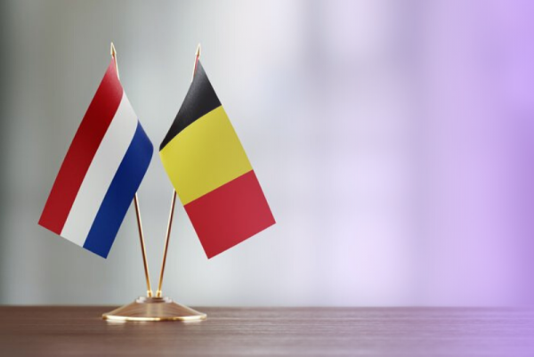 Vlaams-Nederlandse Handelsdag