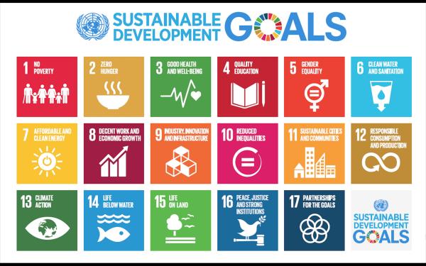 Sustainable development goals