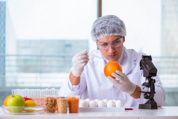 XpertFinder - editie Food