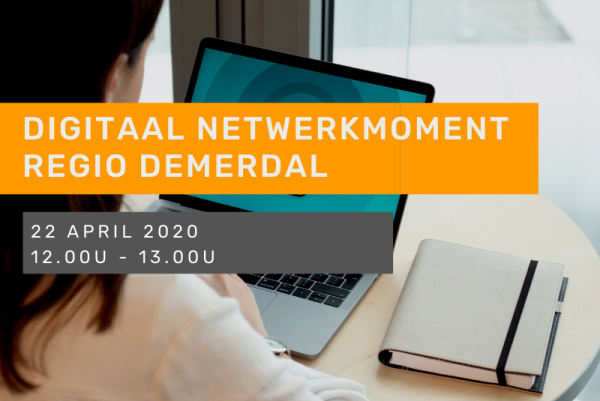 Digitaal Netwerkmoment Regio Demerdal