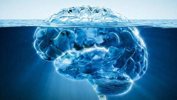 Braindrain