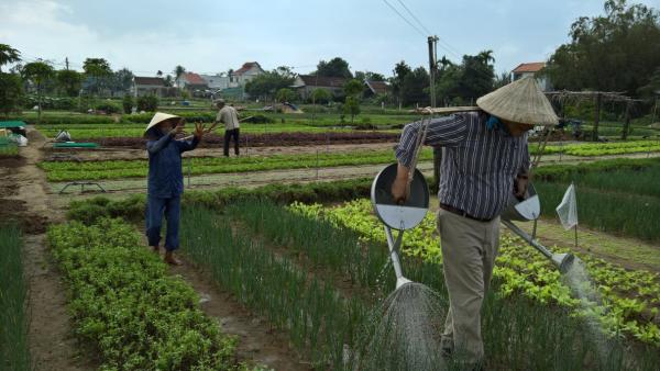 EU-Vietnam vrijhandelsverdrag