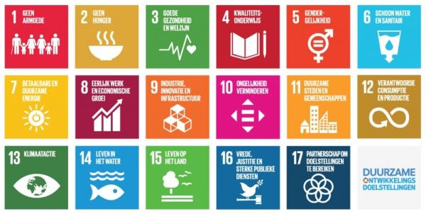 SDG poster