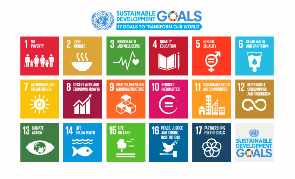 SDG Roadmap