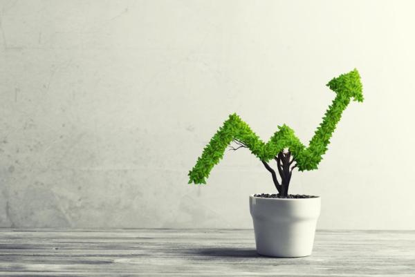 Growth marketing