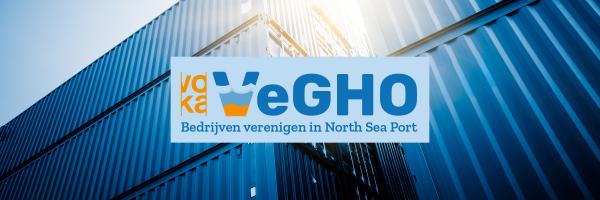 Vegho logo