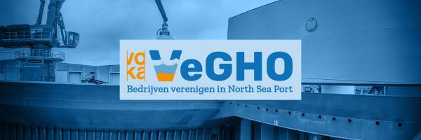 Vegho header