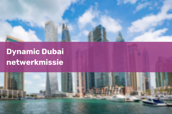 dynamicdubainetwerkmissie