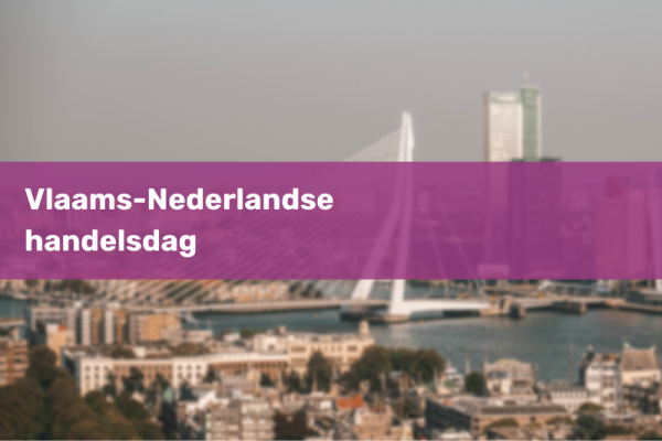 vlaamsnederlandsehandelsdag