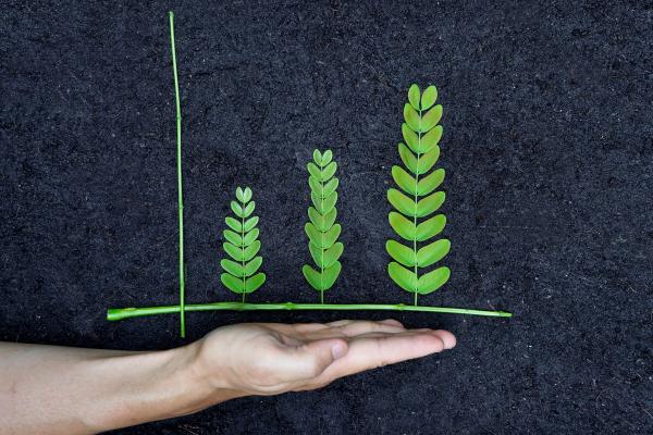 Ecodesign