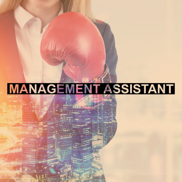 Management Assistant