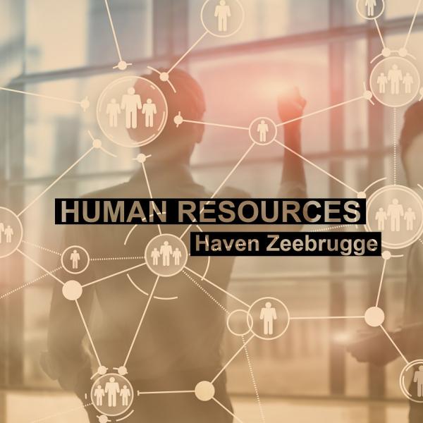 Lerend Netwerk Hr Haven Zeebrugge