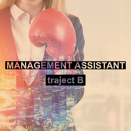 management assistant