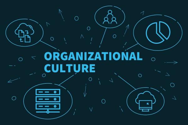 Organisatiecultuur