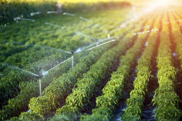 Steunmogelijkheden voor innovatieve waterprojecten