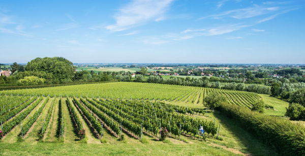Entre-Deux-Monts