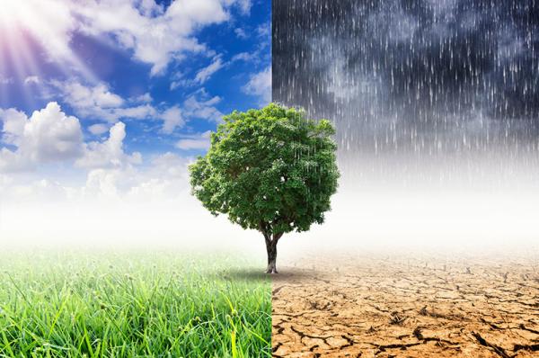 Klimaatopwarming bedrijven
