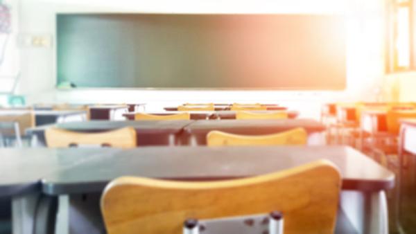 Duaal leren in samenwerking met ESF