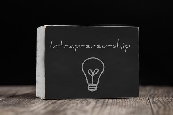Intrapreneurship