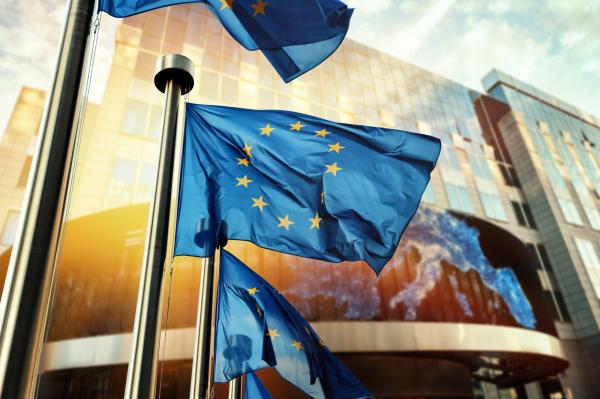 Europese vlag
